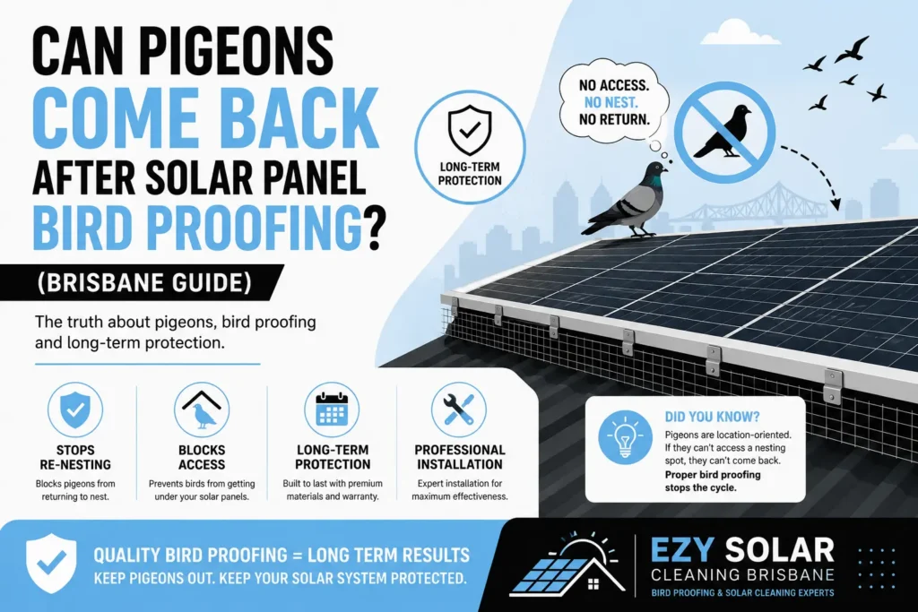 Infographic explaining how solar panel bird proofing helps prevent pigeons from returning to nest underneath solar panels