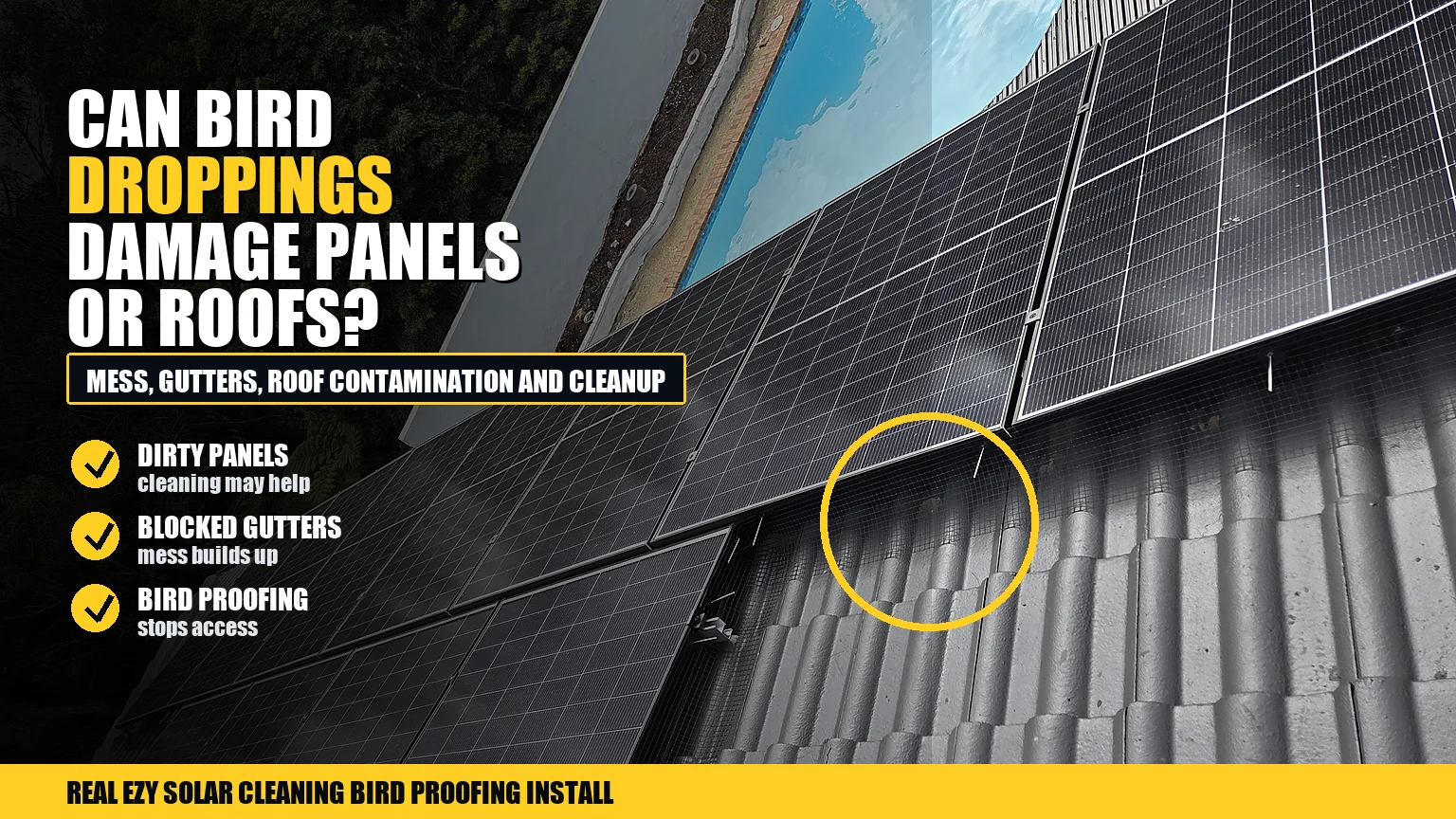 Rooftop solar panels and bird proofing mesh with infographic callouts about droppings, roof mess and gutter contamination
