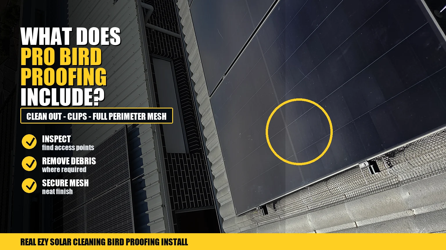 Close-up of black bird mesh and solar panel clips on a roof with infographic callouts about professional bird proofing work