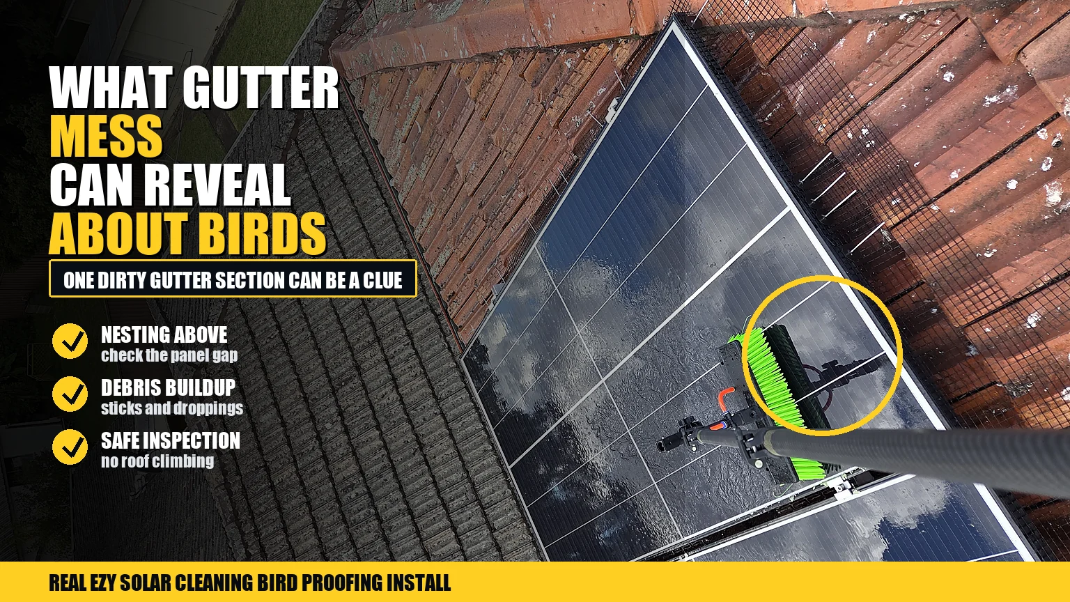 Solar panel bird mesh installed near roof gutters with infographic callouts about nesting material and gutter mess