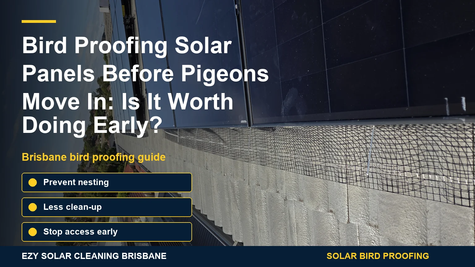 Brisbane solar panels with early bird proofing prevention infographic overlay