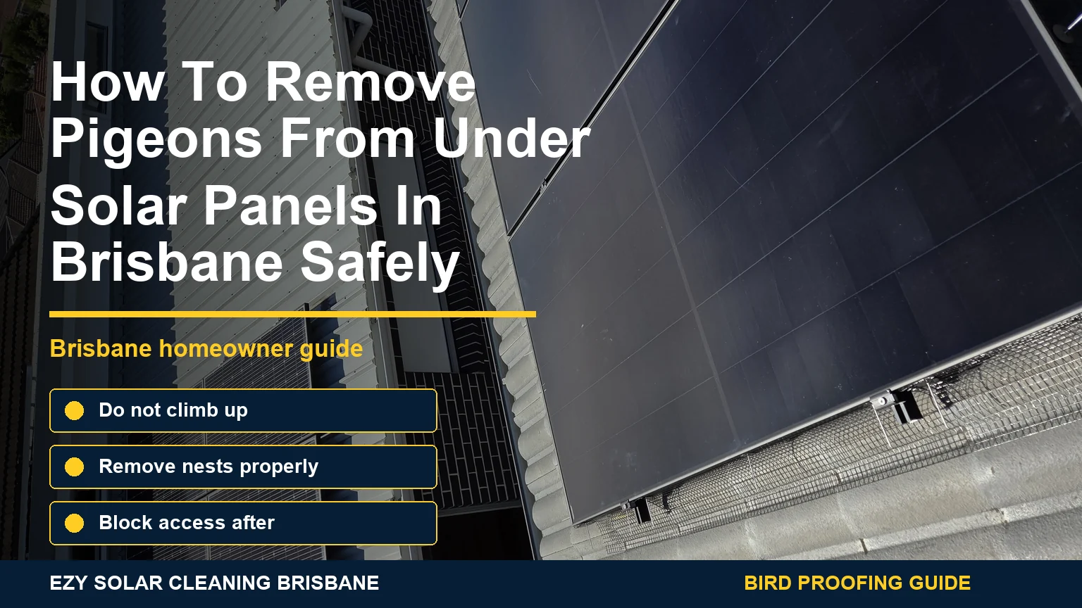 Real rooftop solar panels with infographic callouts about safely removing pigeons from under solar panels in Brisbane