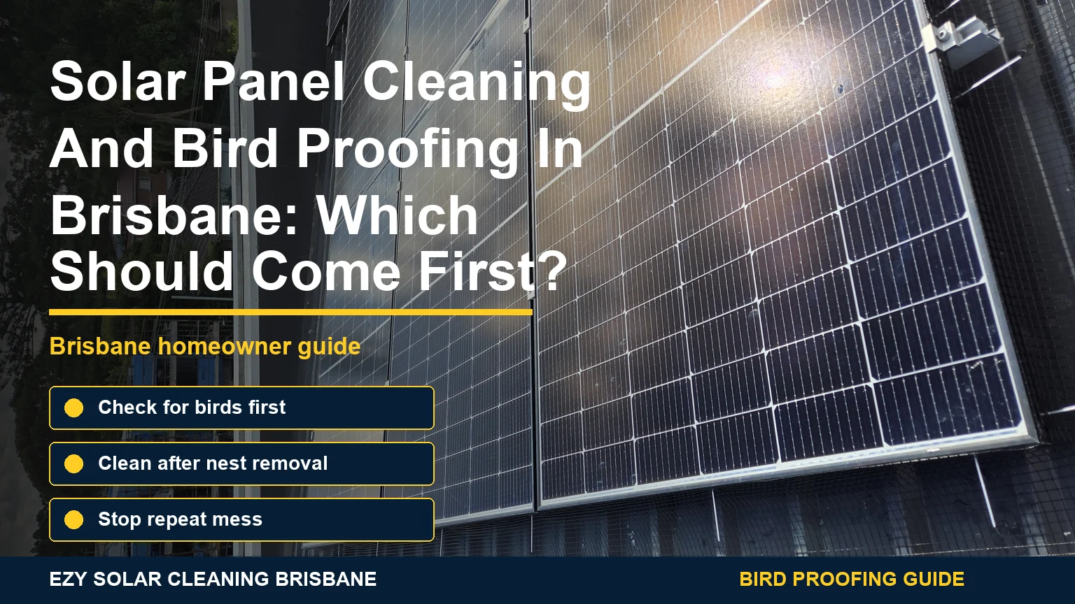 Real Brisbane solar panels with infographic callouts showing whether cleaning or bird proofing should come first