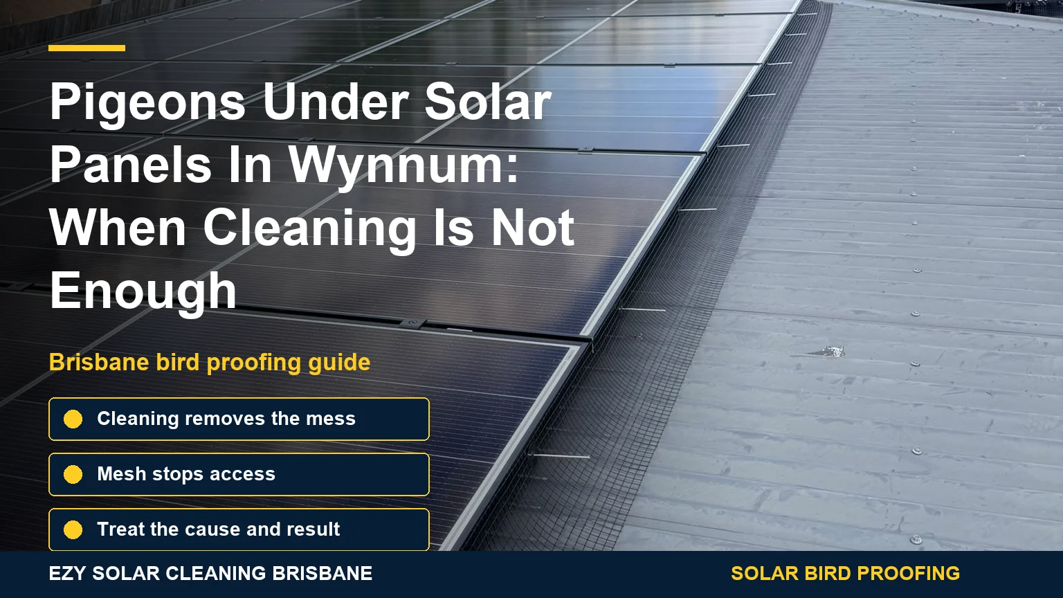 Completed solar panel mesh installation with Wynnum cleaning and bird proofing guide overlay